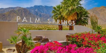 palm spring