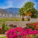 palm spring