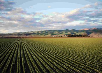 farms