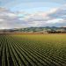 farms
