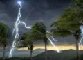Nimet