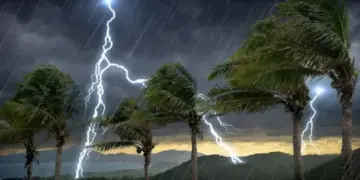 Nimet