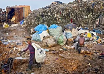 scavenging